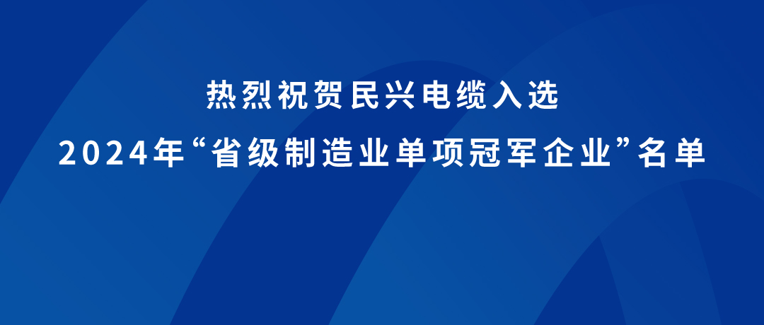 ag亚娱荣获广东省制造业单项冠军！