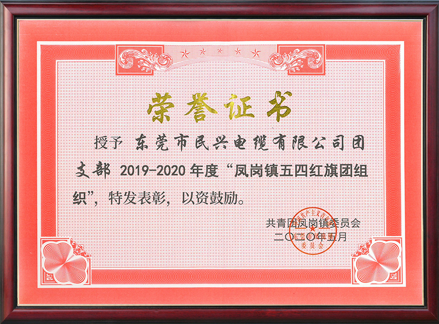  ag亚娱电缆团支部获“凤岗镇五四红旗团组织“称号