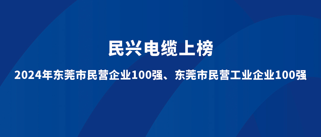 ag亚娱位列第15位！2024年东莞市民营工业企业100强榜单发布